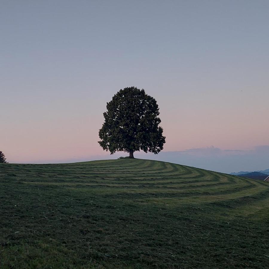 罗斯里施维尔布伦住宿加早餐旅馆 Schwellbrunn 外观 照片